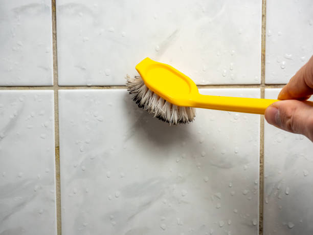 Best Affordable Mold Removal  in Pion Hills, CA